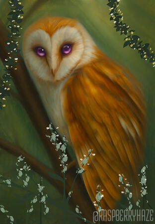 Owl